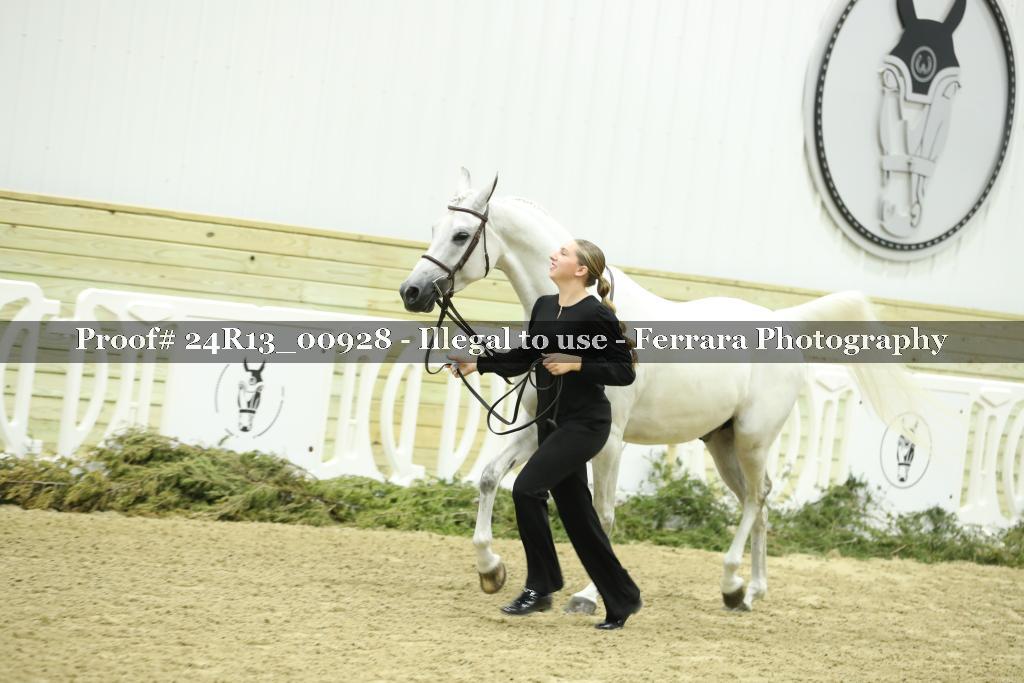 Proof 24R13_00928