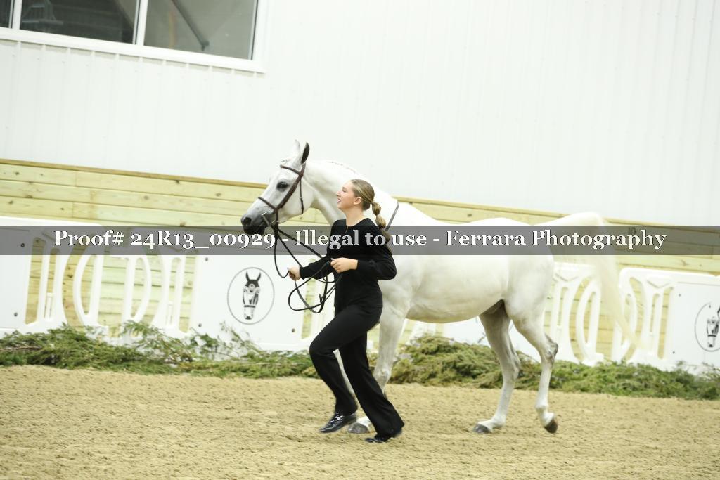 Proof 24R13_00929