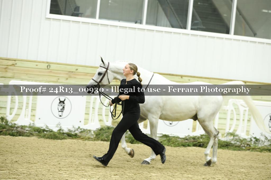 Proof 24R13_00930