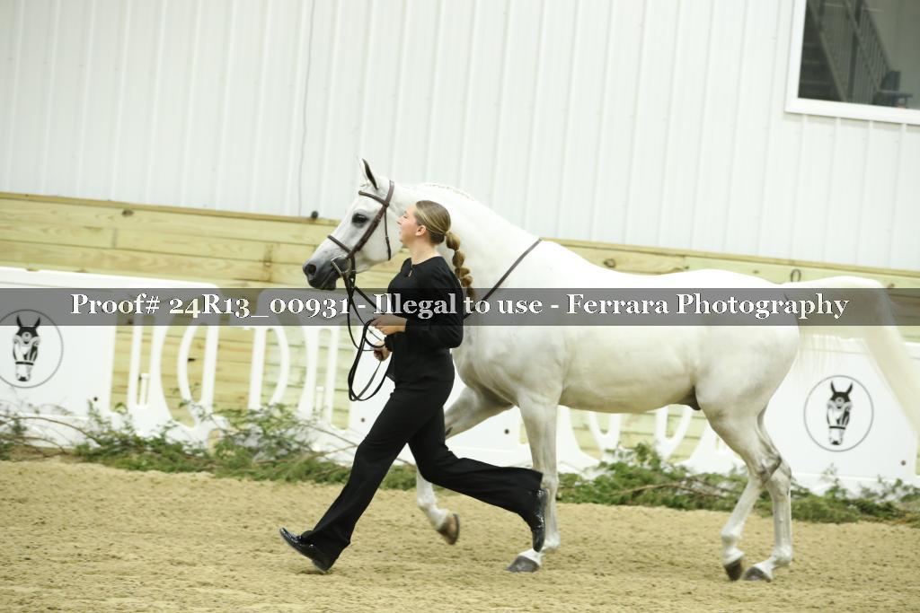 Proof 24R13_00931