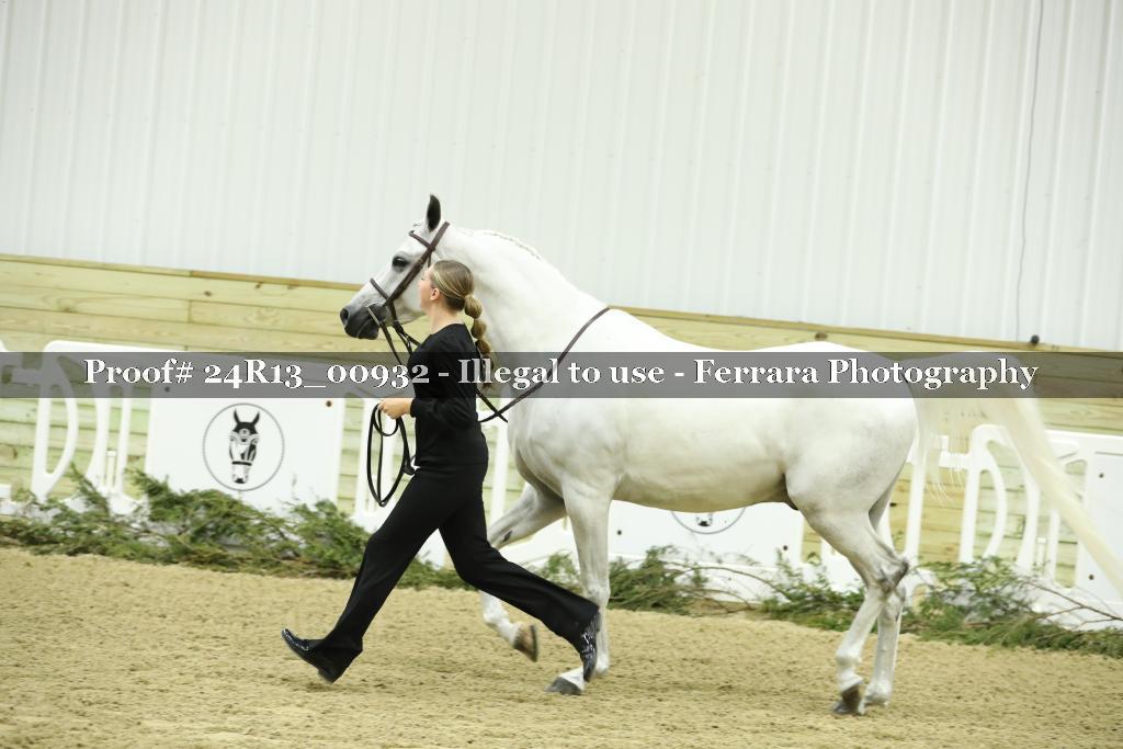 Proof 24R13_00932