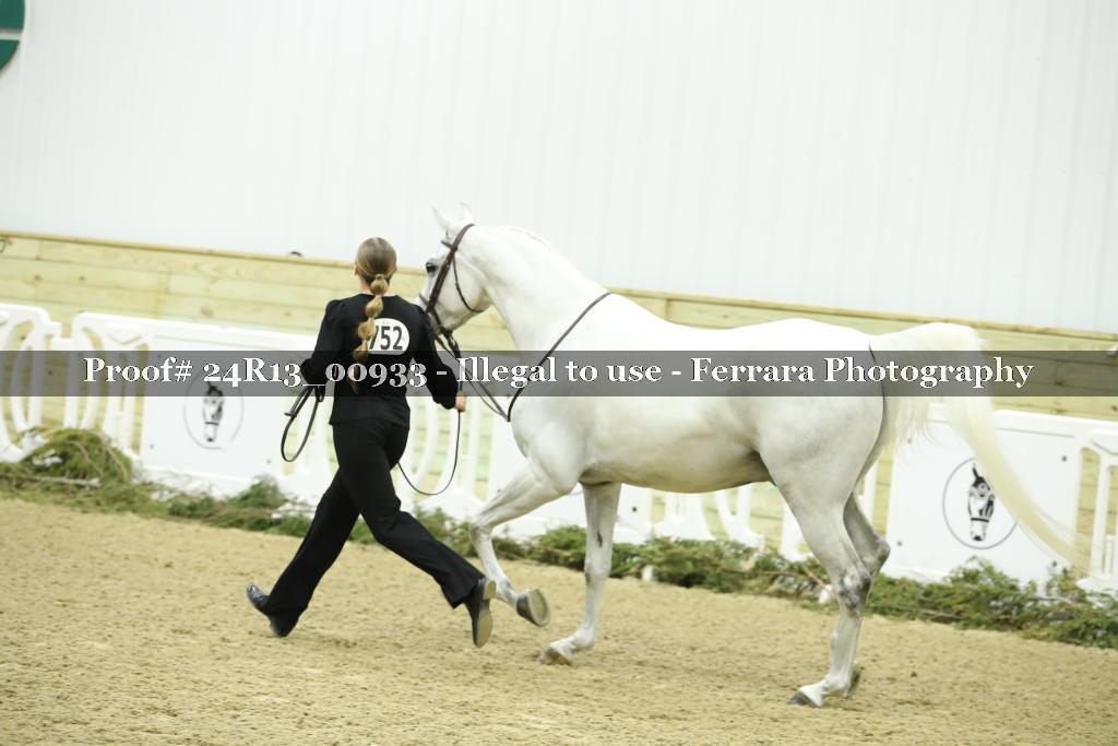 Proof 24R13_00933