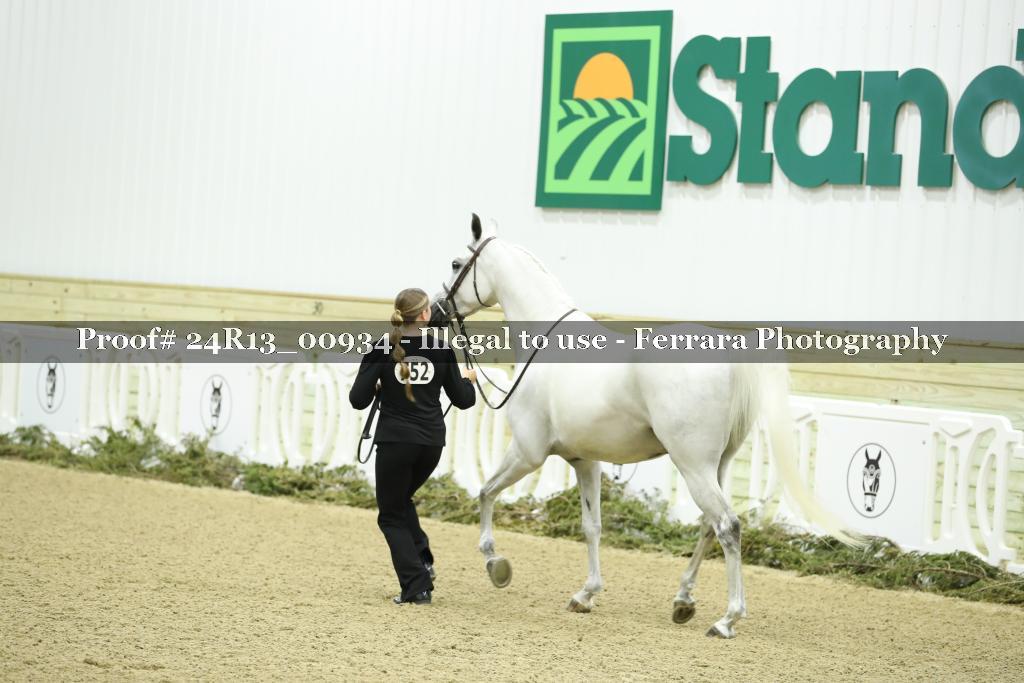 Proof 24R13_00934