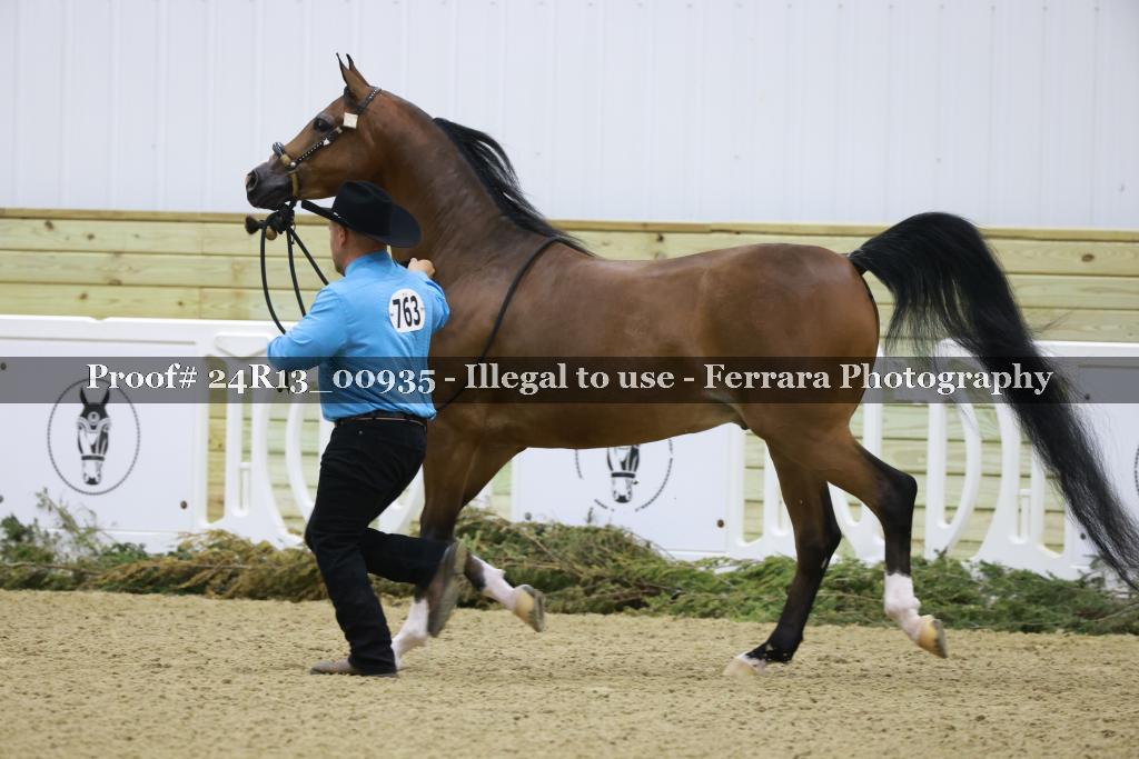 Proof 24R13_00935