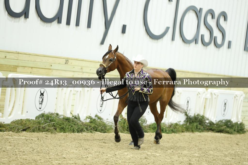 Proof 24R13_00936