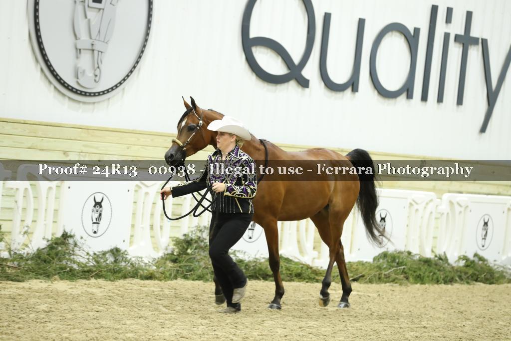 Proof 24R13_00938