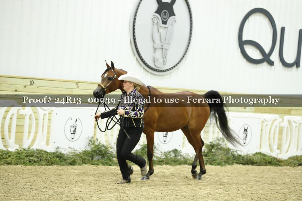 Proof 24R13_00939