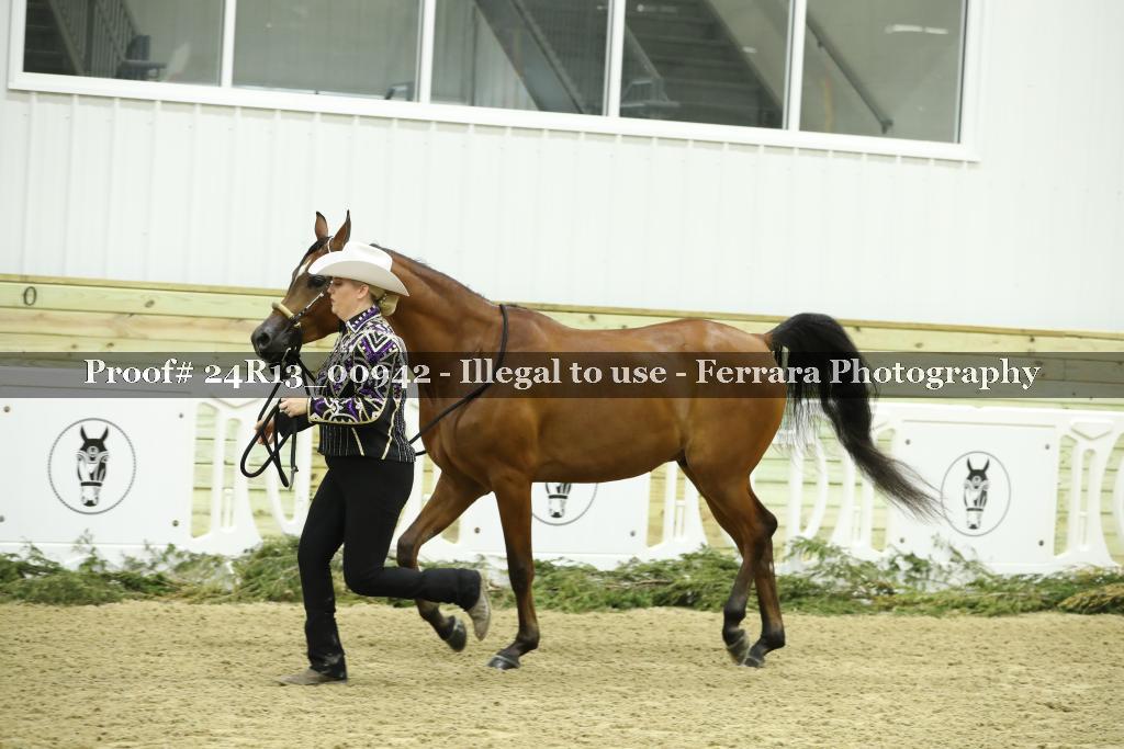 Proof 24R13_00942