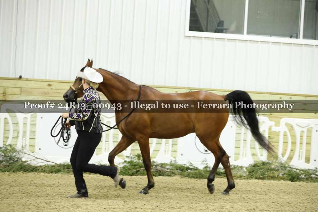 Proof 24R13_00943
