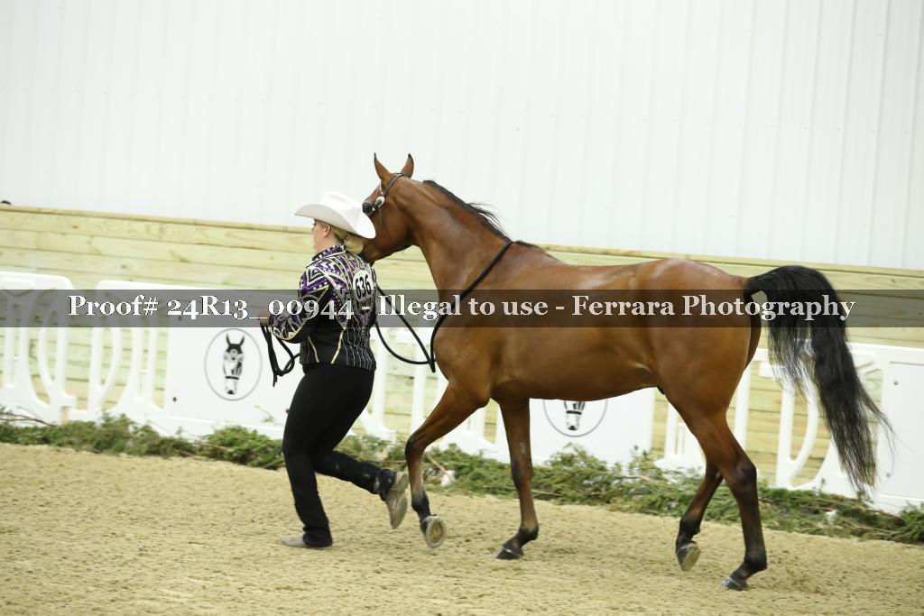Proof 24R13_00944