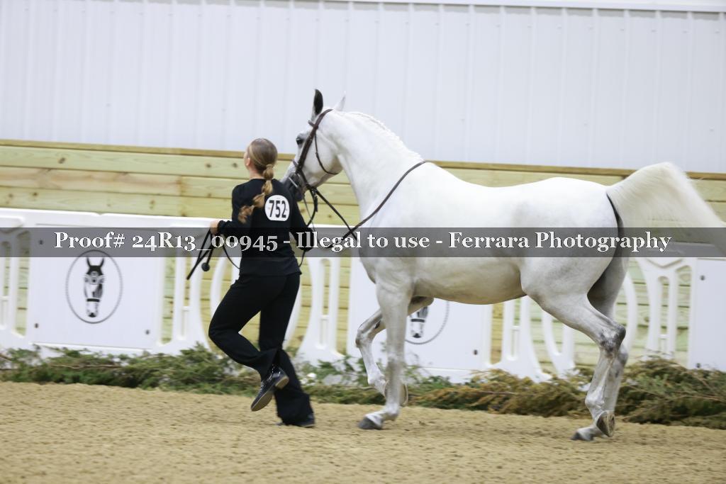 Proof 24R13_00945