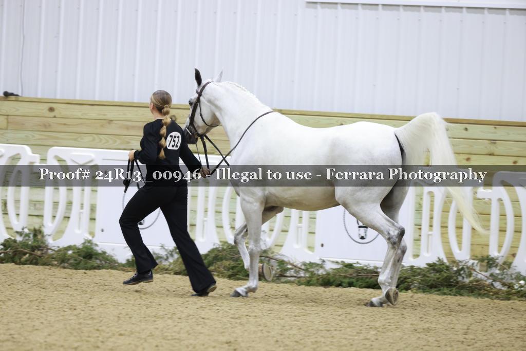 Proof 24R13_00946