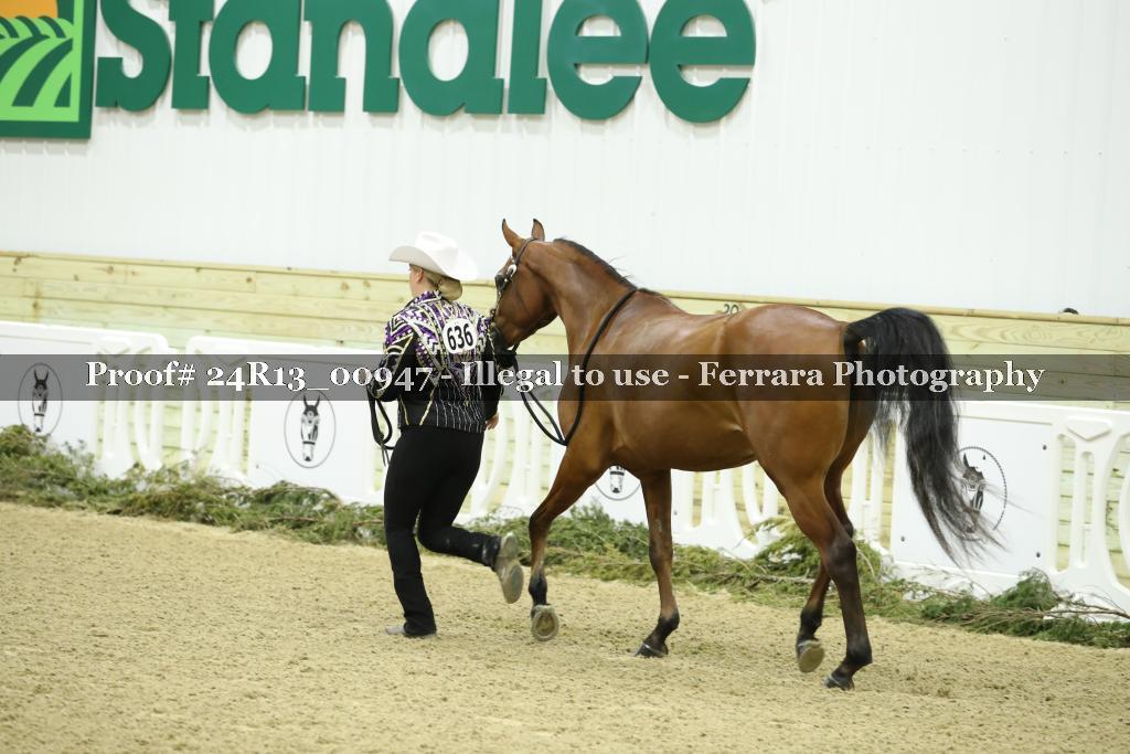 Proof 24R13_00947