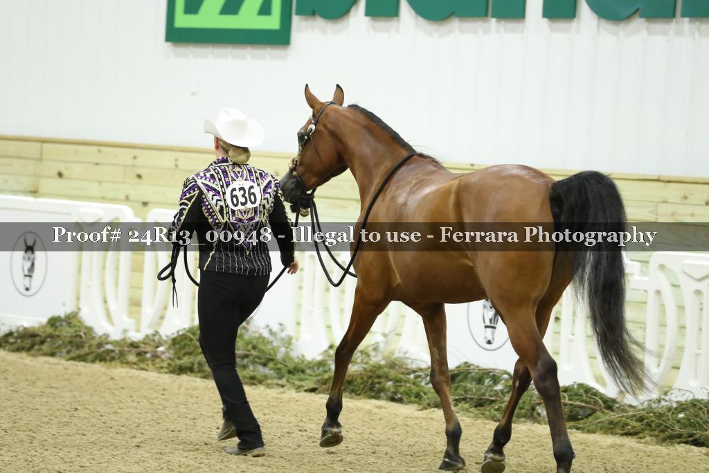 Proof 24R13_00948
