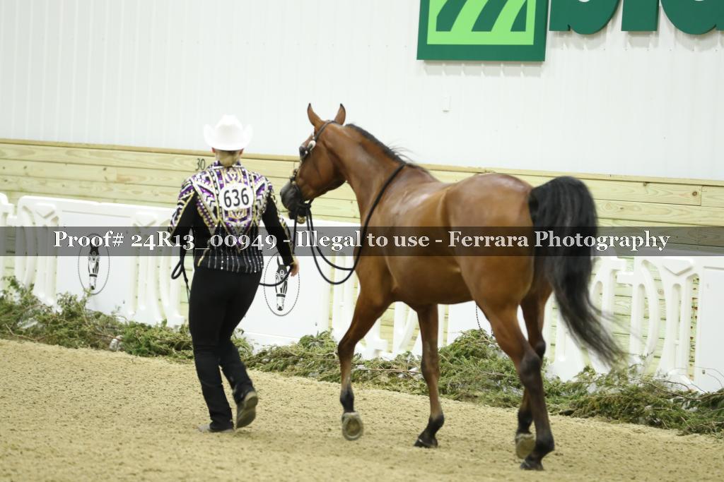 Proof 24R13_00949