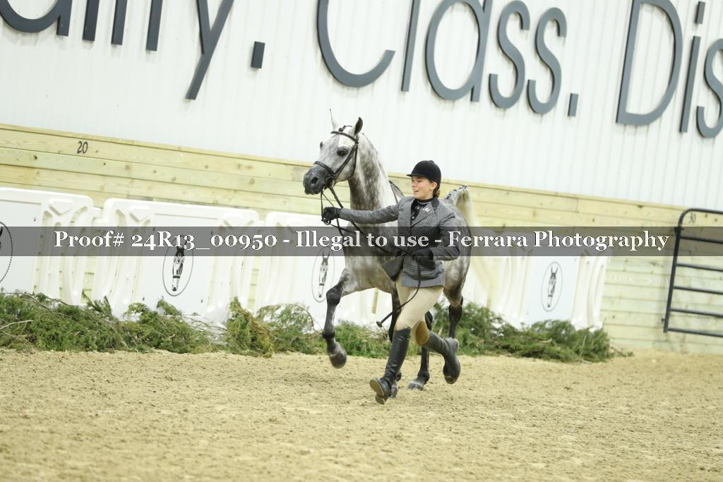 Proof 24R13_00950
