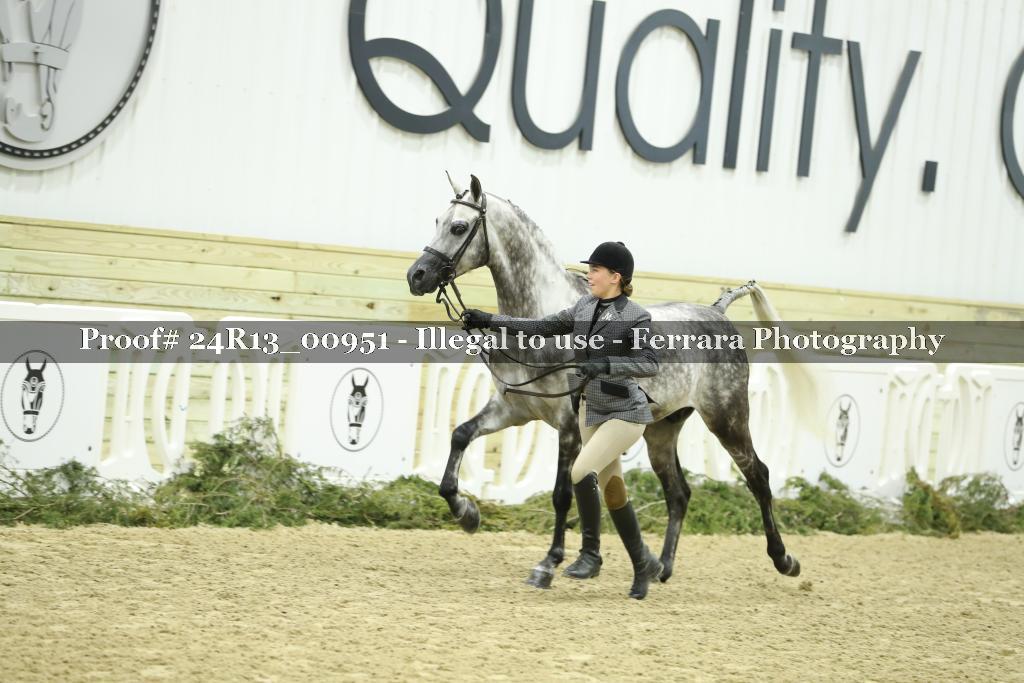 Proof 24R13_00951