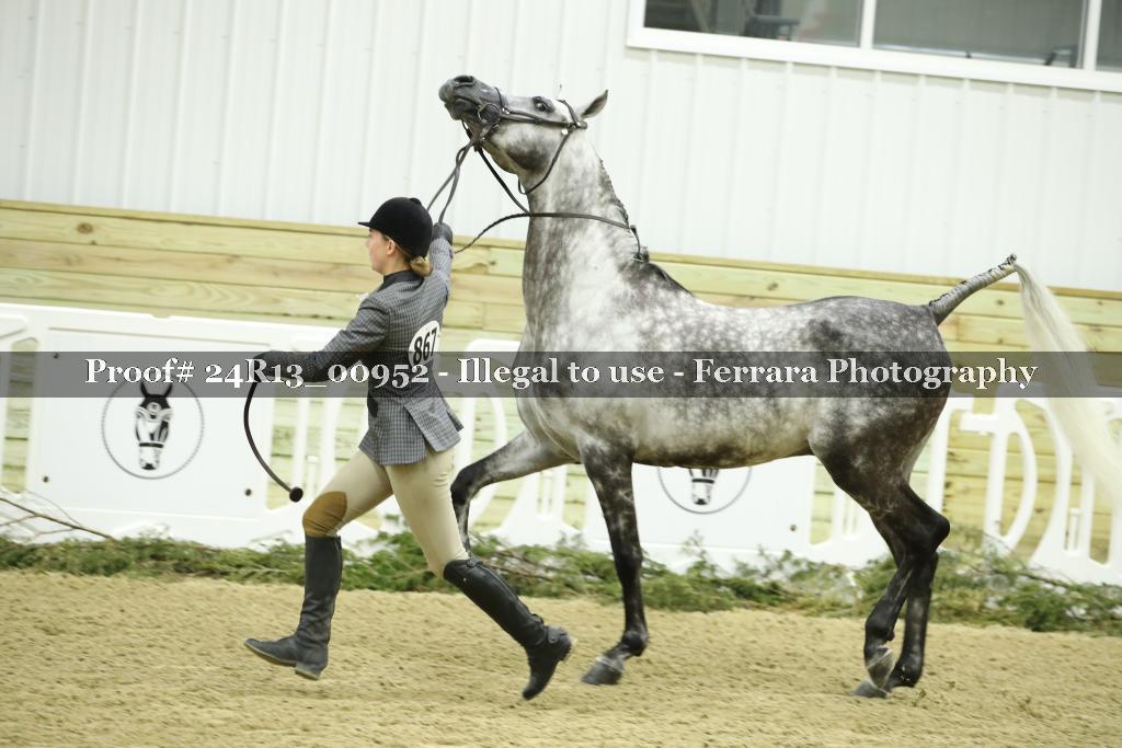 Proof 24R13_00952