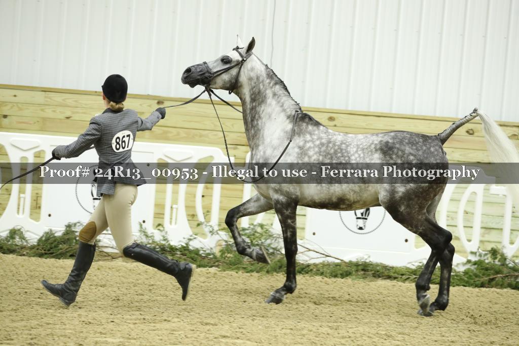 Proof 24R13_00953
