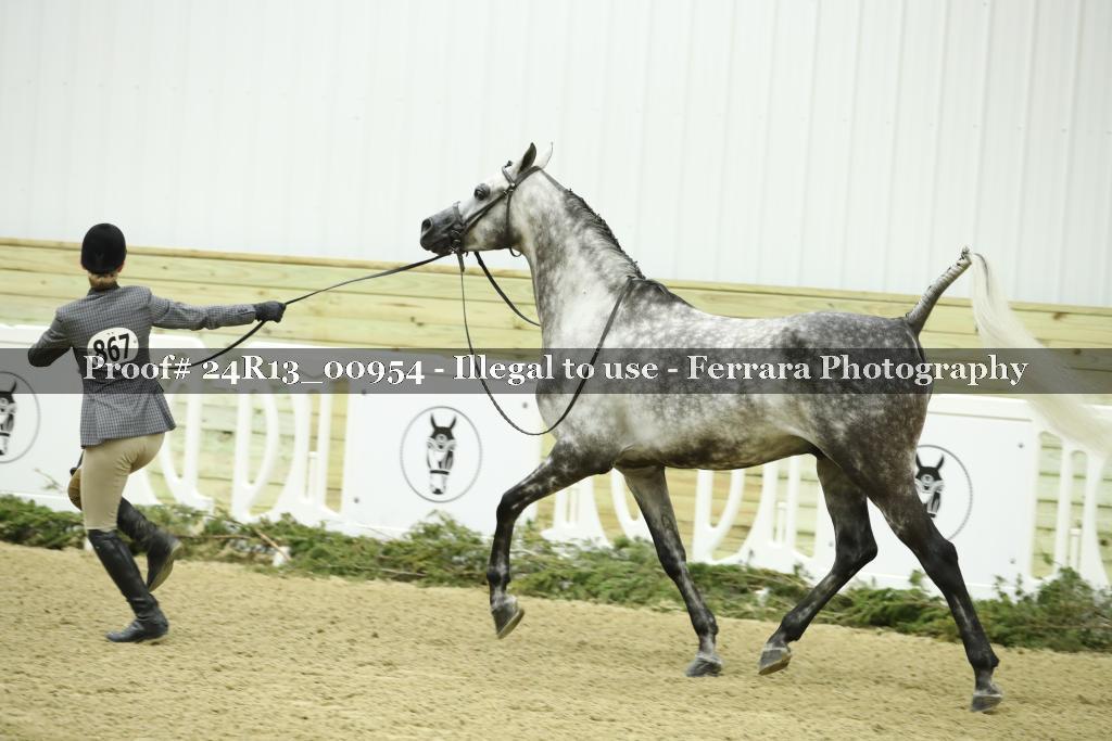 Proof 24R13_00954