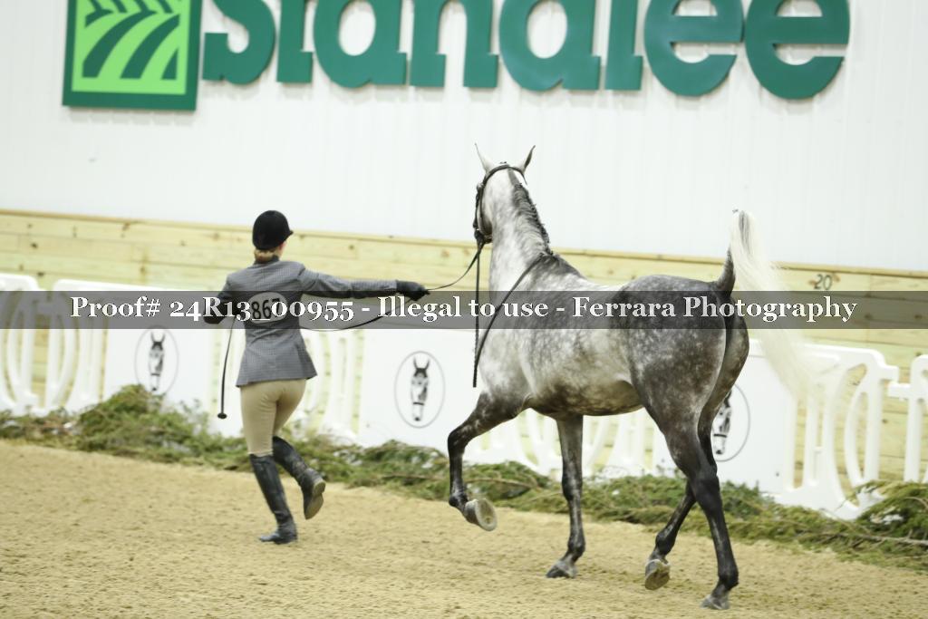 Proof 24R13_00955