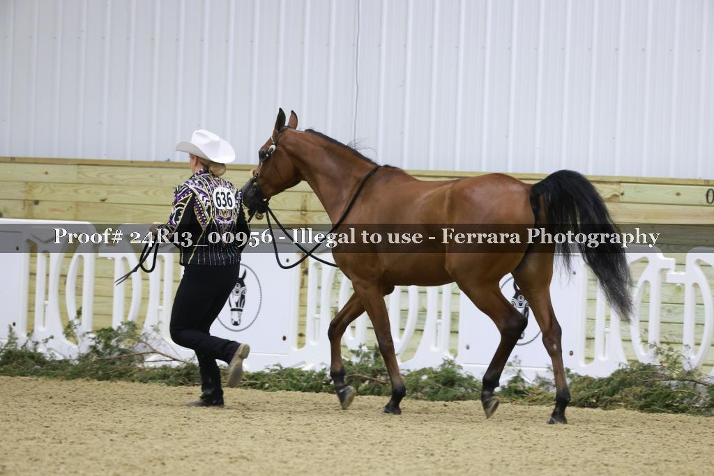 Proof 24R13_00956