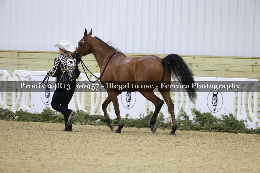 Proof 24R13_00957