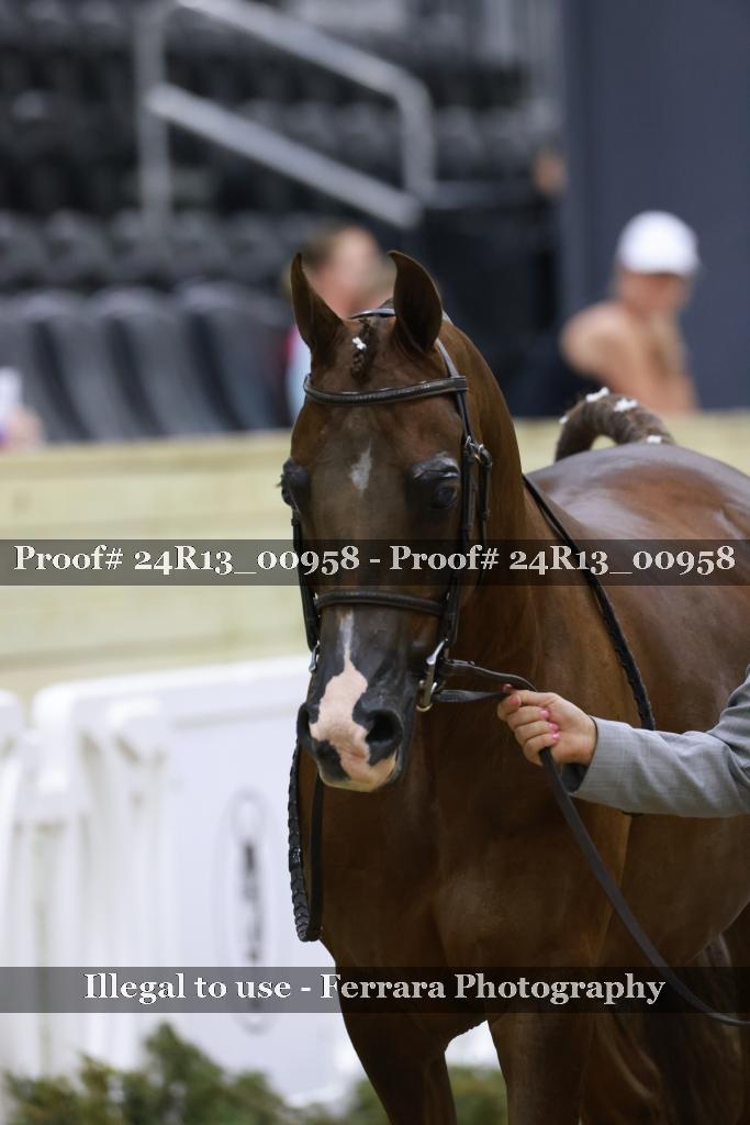Proof 24R13_00958