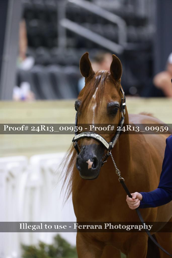 Proof 24R13_00959