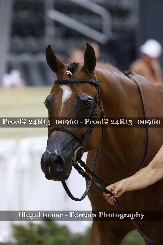 Proof 24R13_00960