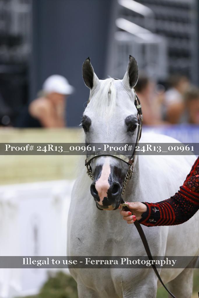 Proof 24R13_00961