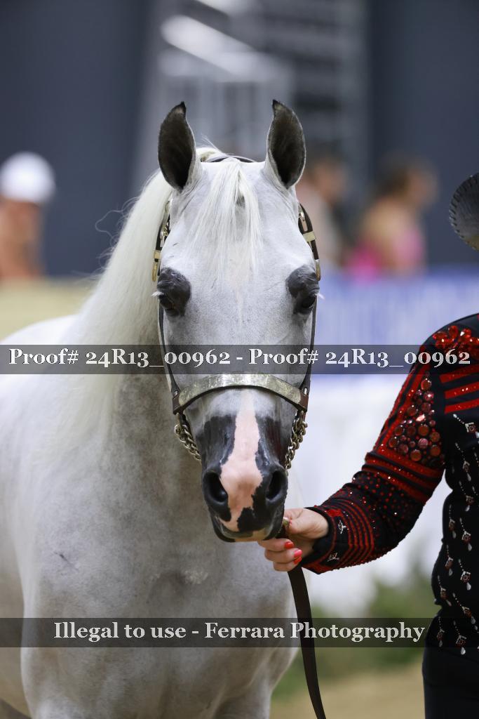 Proof 24R13_00962