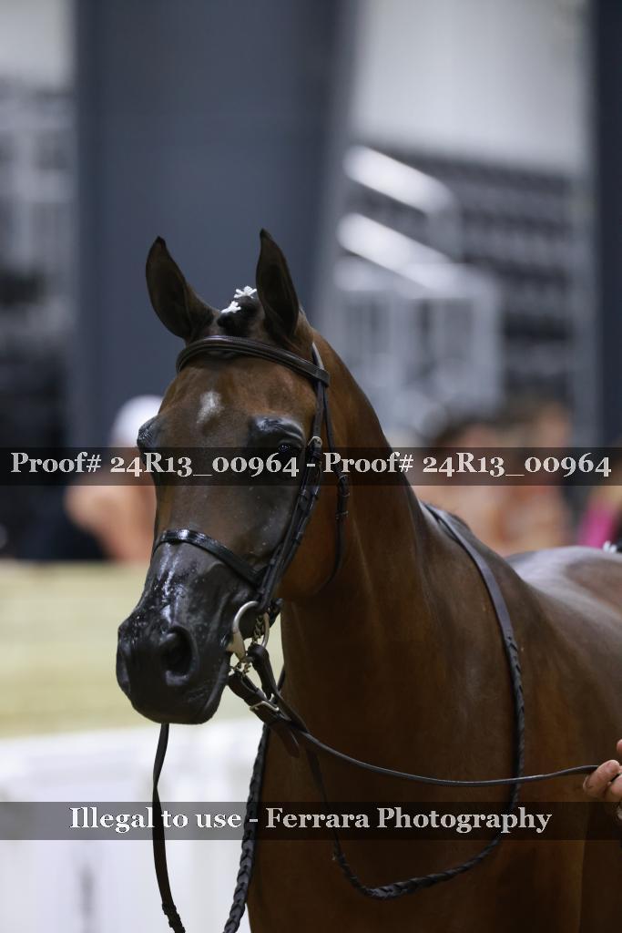 Proof 24R13_00964