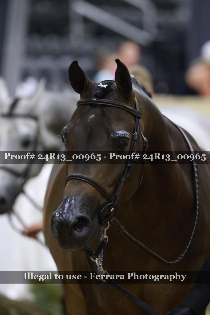 Proof 24R13_00965