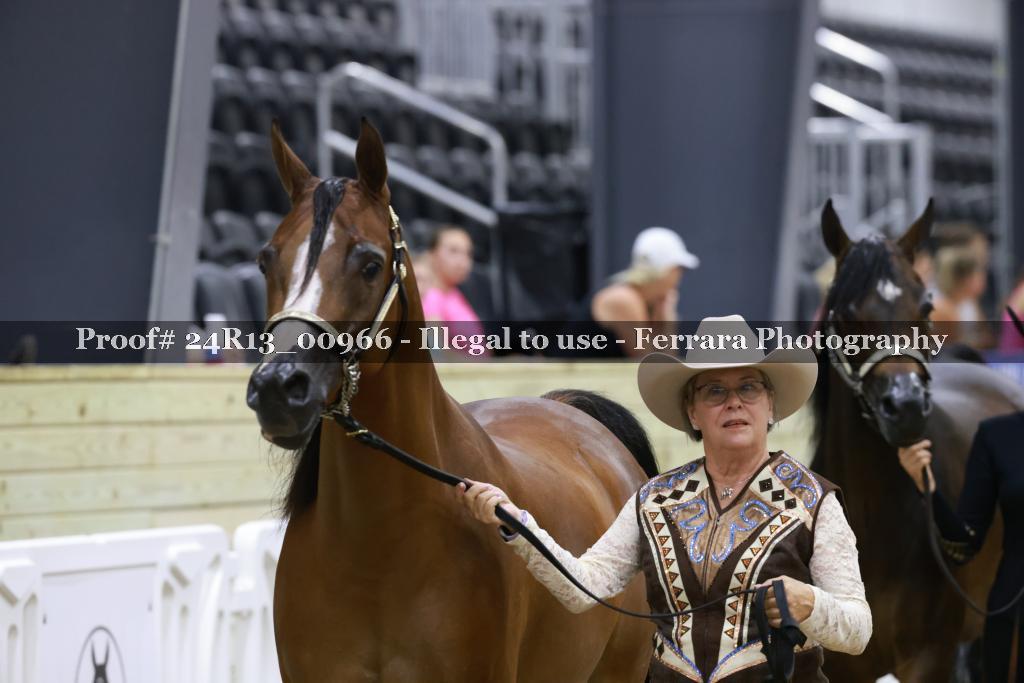 Proof 24R13_00966