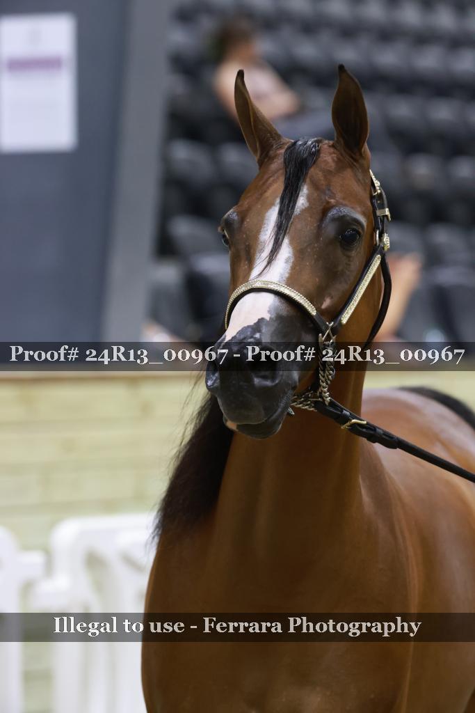 Proof 24R13_00967