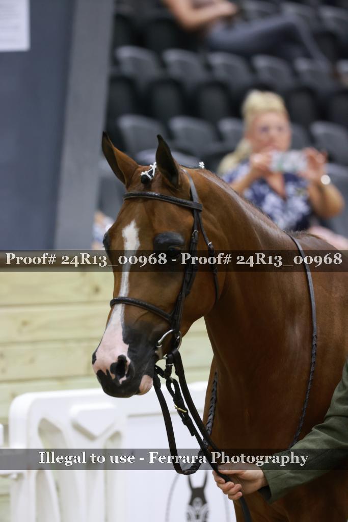 Proof 24R13_00968