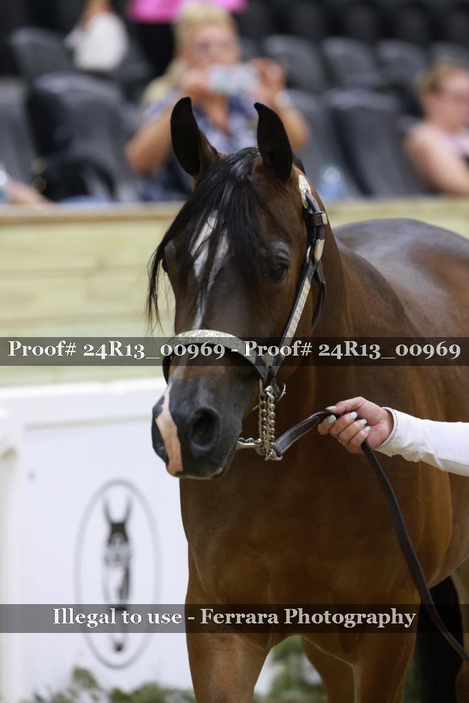 Proof 24R13_00969