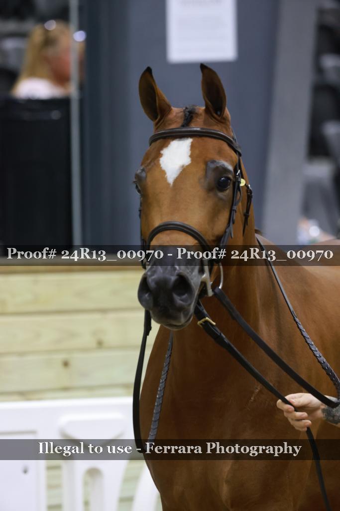 Proof 24R13_00970