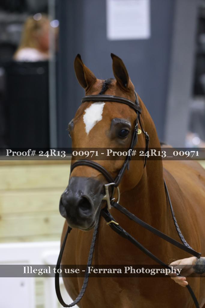 Proof 24R13_00971