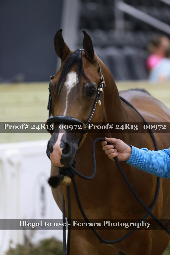 Proof 24R13_00972