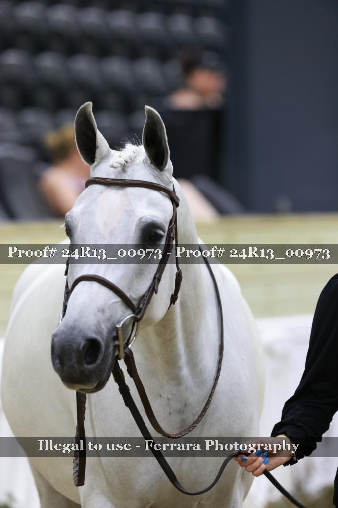 Proof 24R13_00973