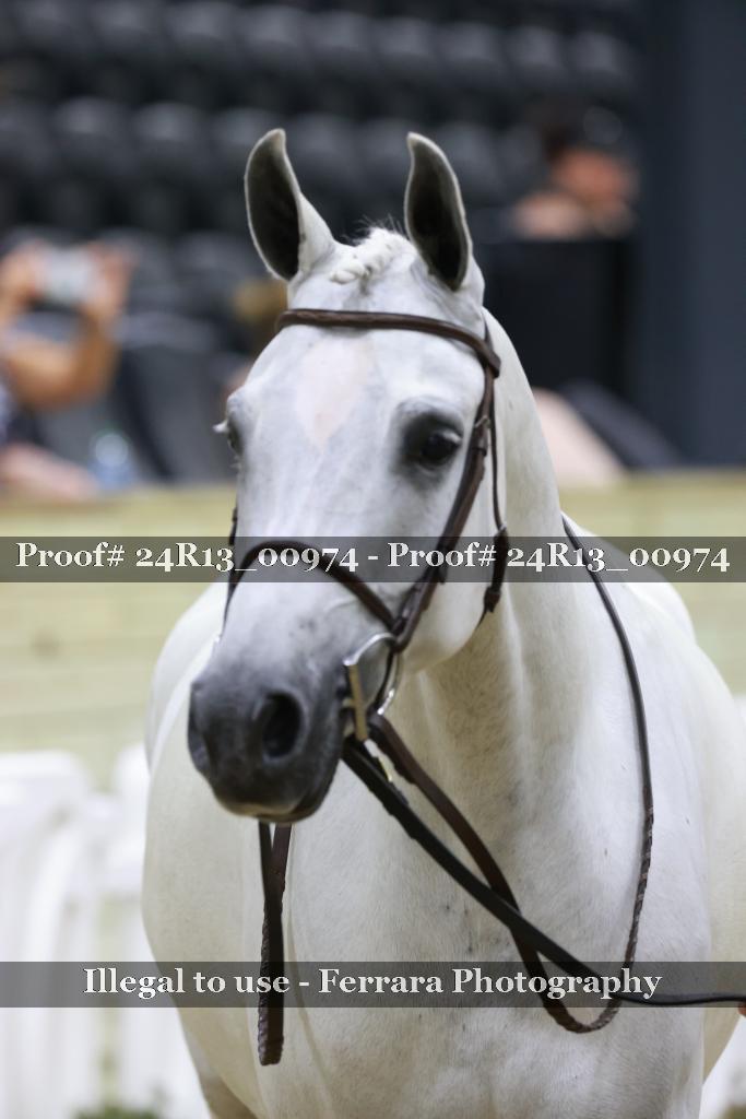 Proof 24R13_00974