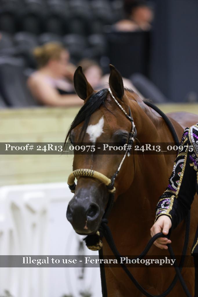 Proof 24R13_00975