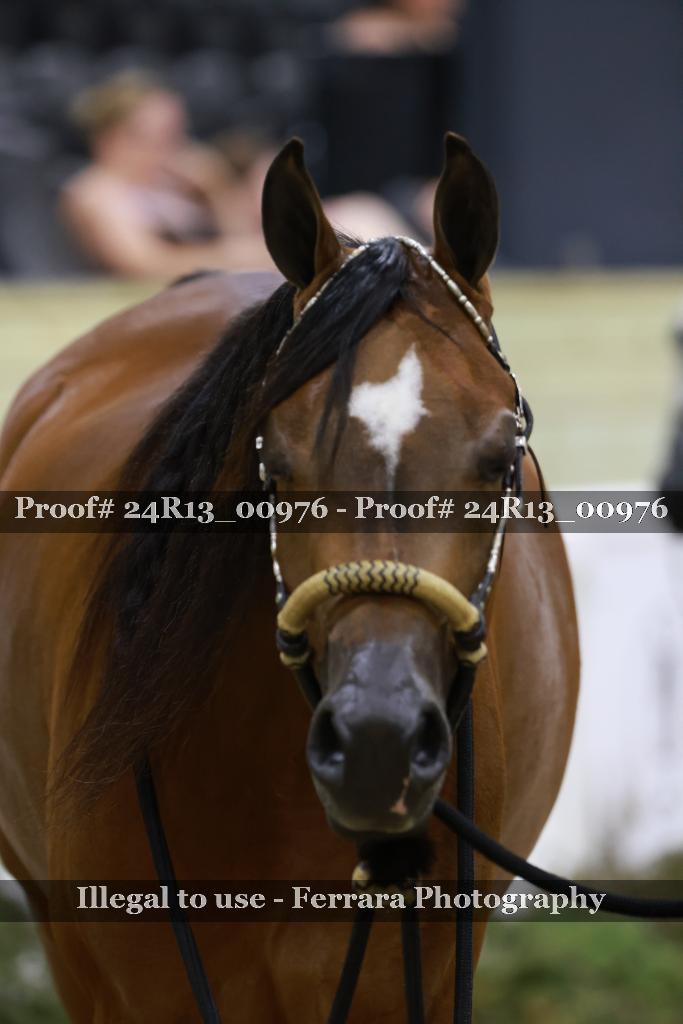 Proof 24R13_00976