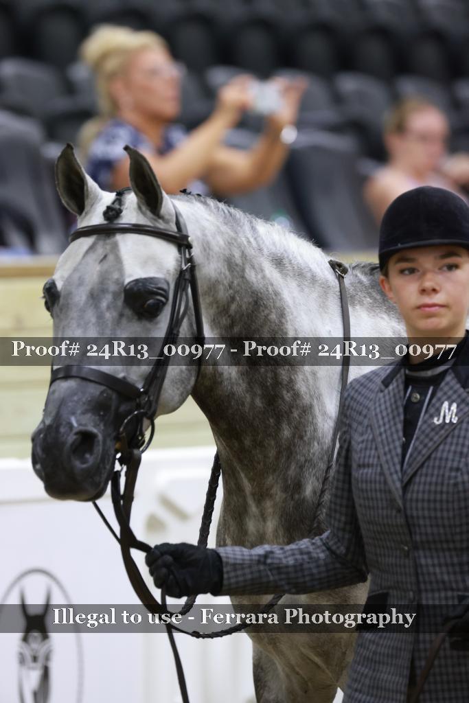 Proof 24R13_00977
