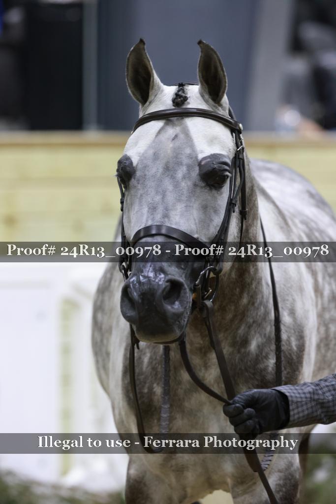 Proof 24R13_00978