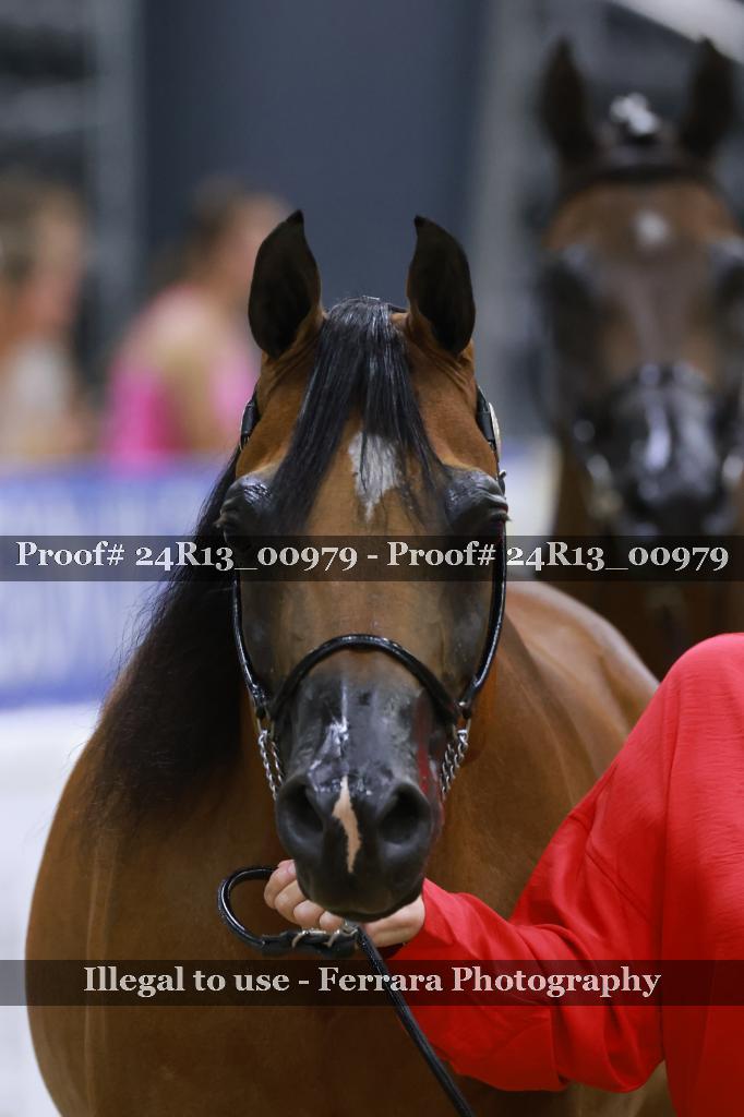Proof 24R13_00979