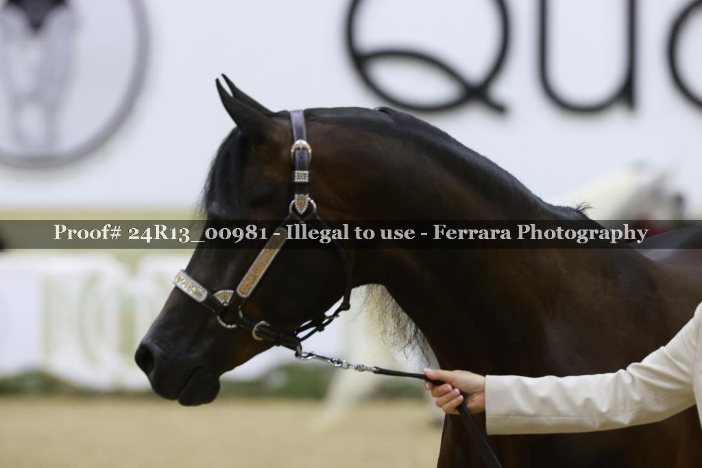 Proof 24R13_00981