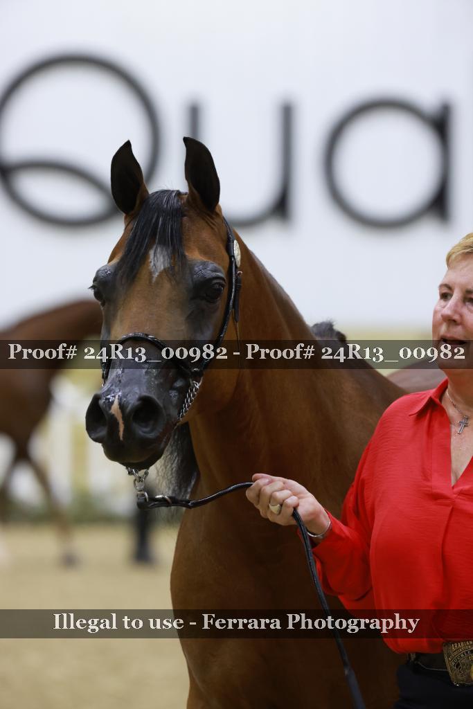 Proof 24R13_00982
